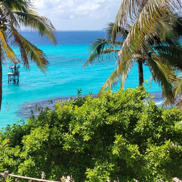 Meet your Posher, Brenda - Picture 2 of 2